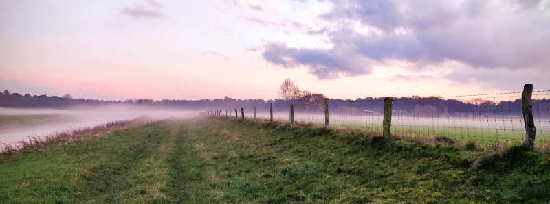 a view on my evening walk